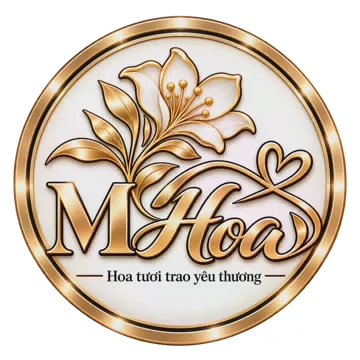 Shop hoa tươi Xã Tuệ Tĩnh Hải Phòng - Chăm chút món quà từ sắc hoa